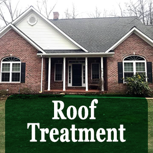 Roof treatment SoftWash Maryland