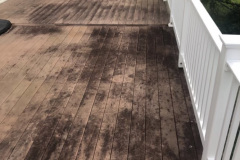 Before Deck Cleaning