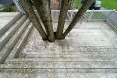 Before Deck Cleaning