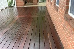 Freshly revived 🙌