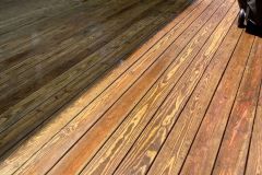 removing mold, mildew, and weather stains.