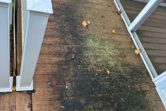 Heavy stains and discoloration covered the deck’s surface.