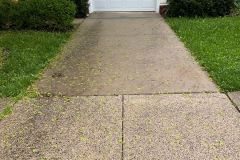 Driveway Before