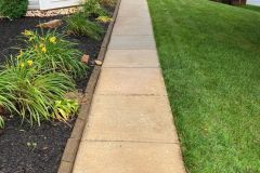 brightening up outdoor spaces instantly