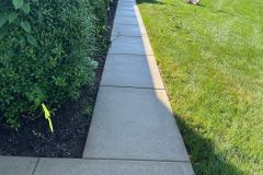 eliminating mold, algae, and built-up dirt.