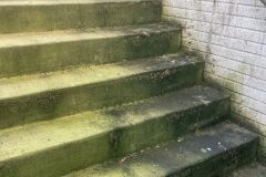 Before and after patio pressure washing