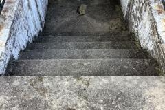Before