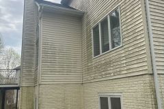 Before House Washing