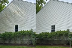 See the Difference a Wash Makes