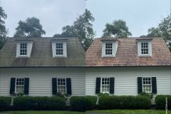Roof Before and After Lichen Growth 