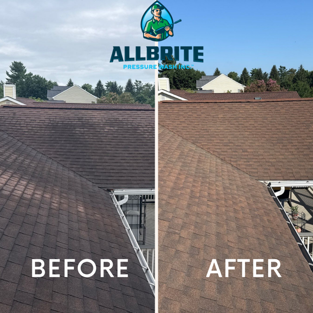 Roof cleaning before and after maryland 